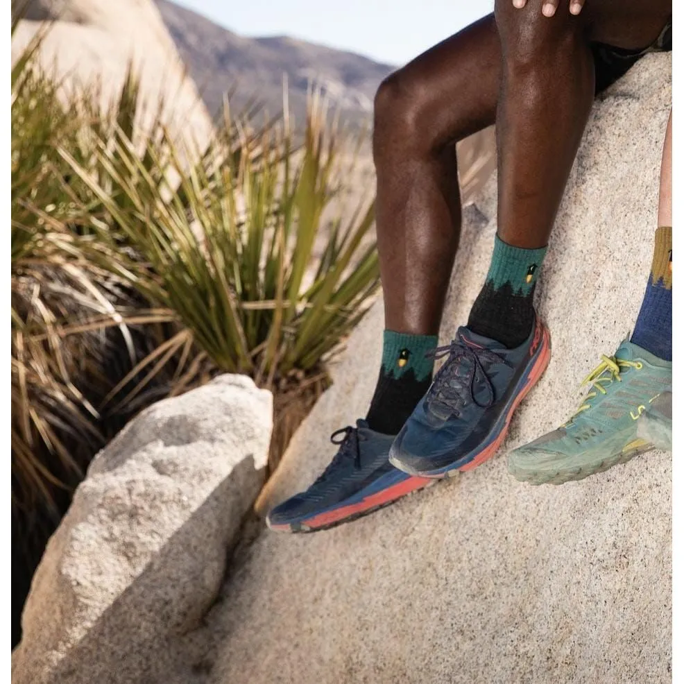 DARN TOUGH NUMBER 2 MICRO CREW MIDWEIGHT HIKING SOCK MEN'S