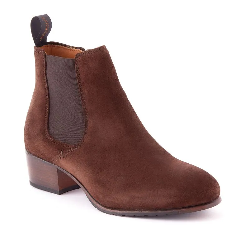 Dubarry Bray Ladies Chelsea Boot - Cigar